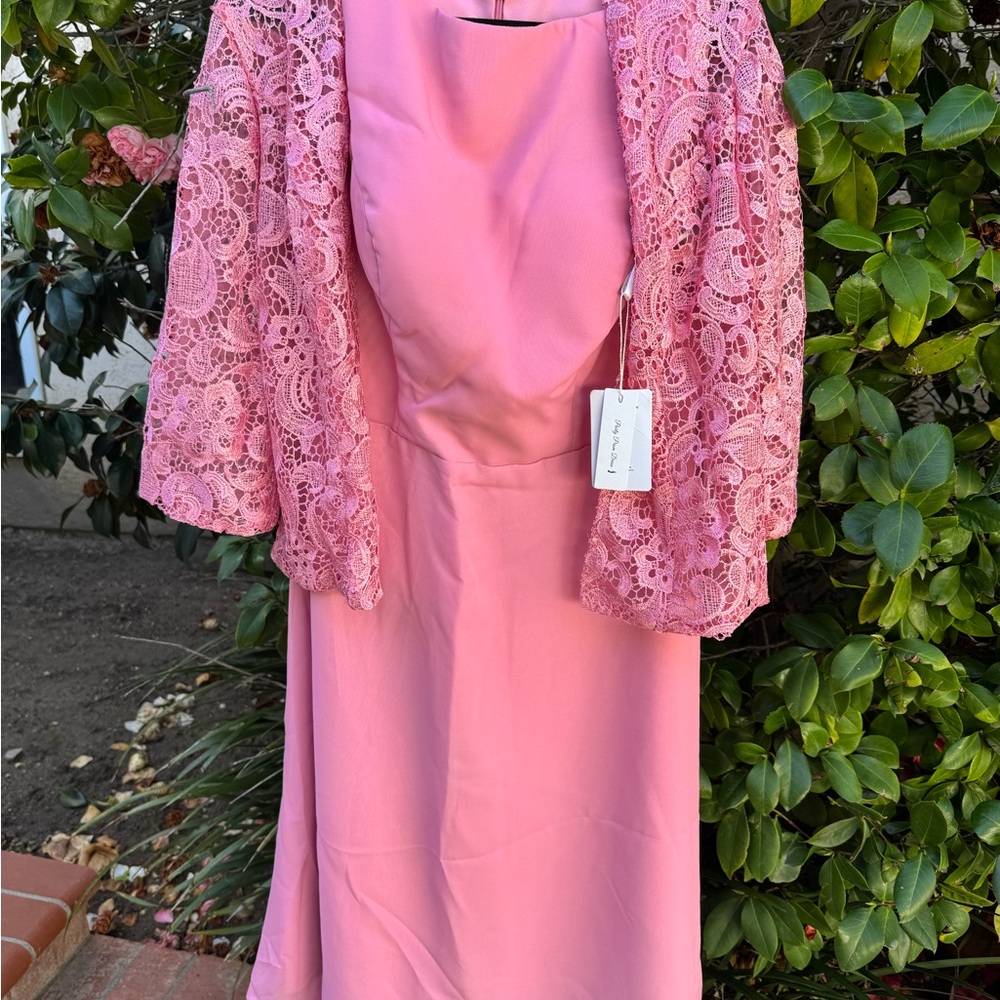 Elegant Pink Lace Overlay Dress